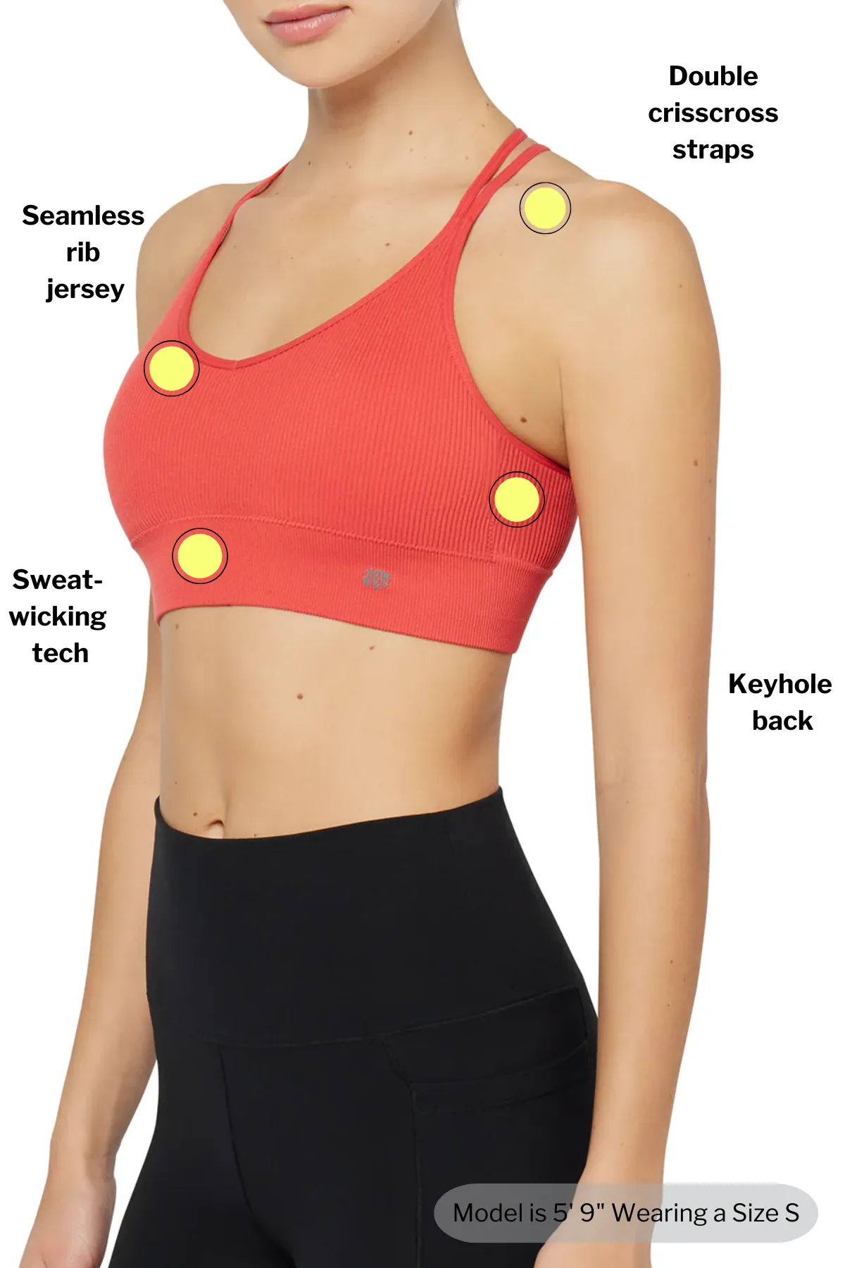 2 Pack Annie Seamless Sports Bra