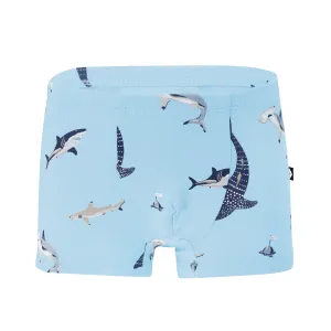 Briefs in Stream Shark