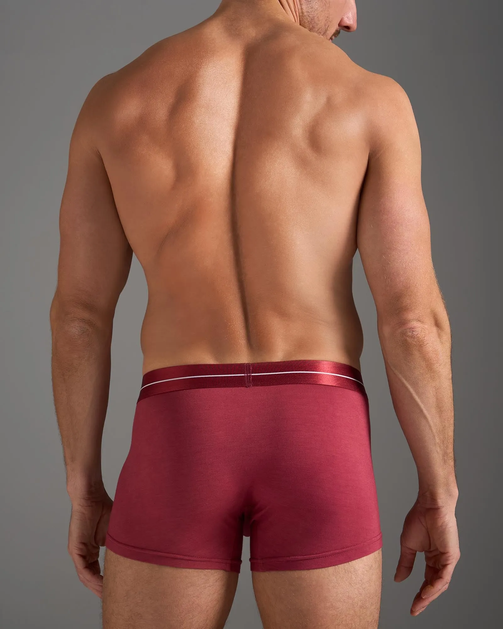 Icon Trunk - Dusty Red