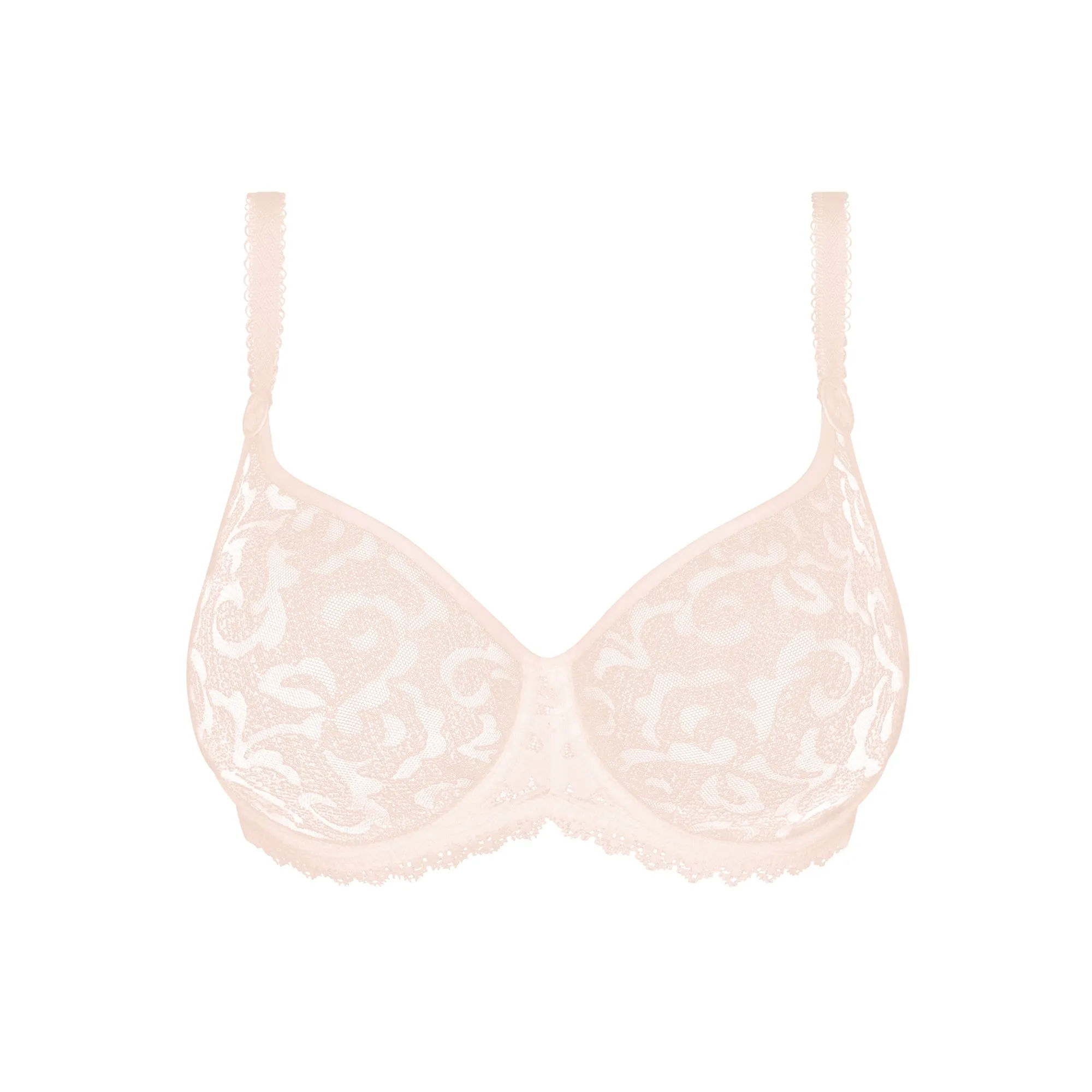 Leia Seamless Rose